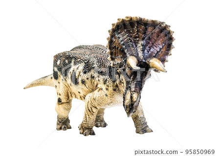 dinosaur , Triceratops on isolated background clipping path 95850969