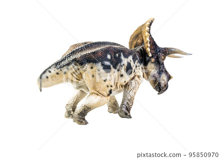 dinosaur , Triceratops on isolated background clipping path 95850970