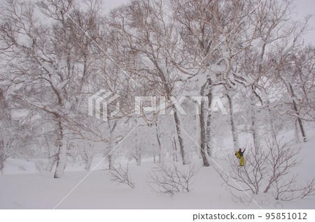 Hokkaido Backcountry Travel through the Snow Forest Hokkaido Backcountry Travel through the Snow Forest 95851012