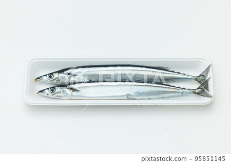Two saury in a food tray 95851145