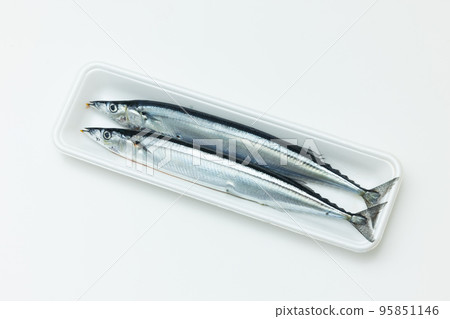 食物托盤中的兩個秋刀魚 95851146