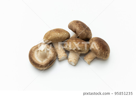 Shiitake 95851235