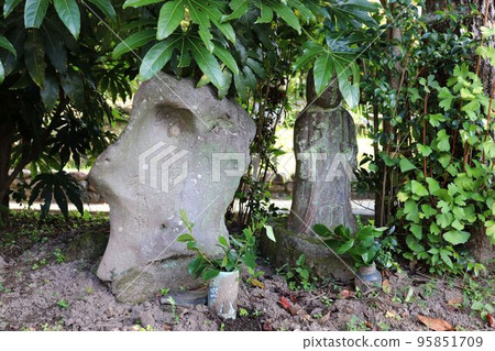 水元神社的稻田神 水元神社的稻田神 95851709