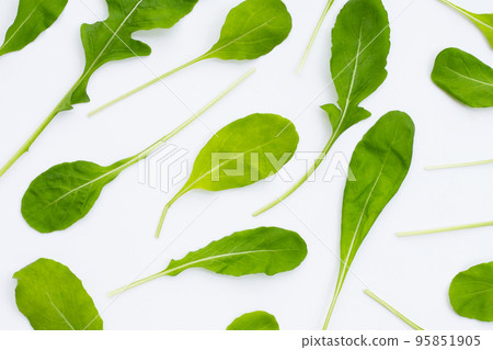 Fresh green rocket salad on white background. 95851905
