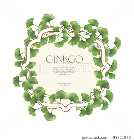Ginkgo biloba leaves. Border, frame, template for product label,  95851970