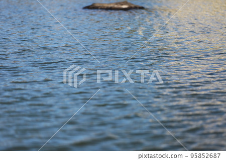 cool waves of the beautiful sea 95852687