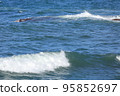 cool waves of the beautiful sea 95852697