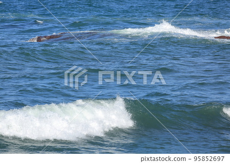 美麗大海的涼爽海浪 95852697