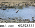 Wild birds living in rivers 95852822