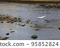 Wild birds living in rivers 95852824