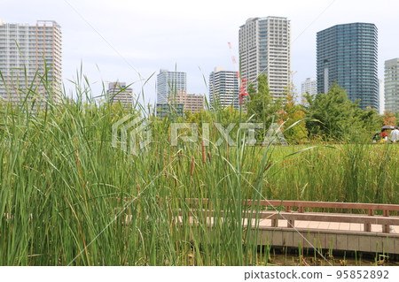 Scenery seen from Shinagawa Season Terrace Rooftop Garden 95852892