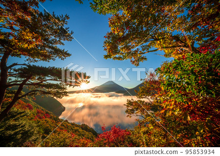 Autumn leaves shining in the sunrise, Lake Motosu and Mt.Fuji in the sea of clouds 95853934