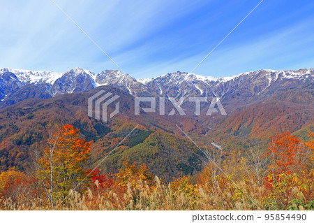 從白馬岩岳避暑山莊看秋天的白馬三山 95854490