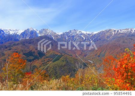 從白馬岩岳避暑山莊看秋天的白馬三山 95854491