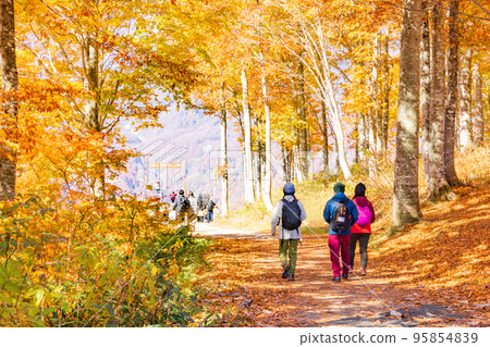 [Nagano Prefecture] Road to Yah Swing at Hakuba Iwatake Mountain Resort 95854839