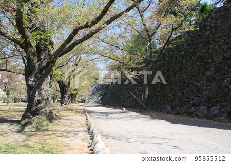 Komoro castle ruins in Komoro city, Nagano prefecture 95855512