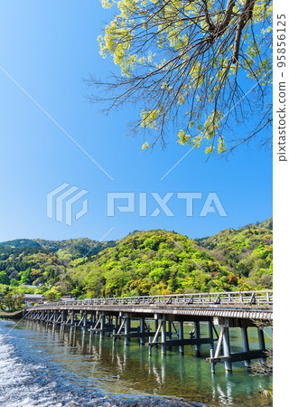 翠綠的嵐山渡月橋和保津川的水流 95856125