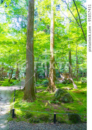 松島圓通院三經傳禪林禪修園（宮城縣松島町） 95857431