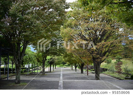 綜合運動公園入口【神奈川縣伊勢原市】 95858606