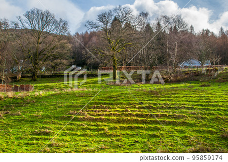 Mountain front garden area. 95859174
