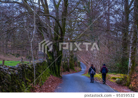 Road up the hill in autumn Natural elements. 95859532