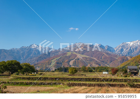 秋天的八方一號和牛城立山山脈[北安曇郡白馬村] 95859955