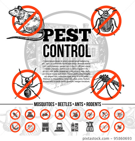 Pest Control Infographics - Stock Illustration [95860693] - PIXTA