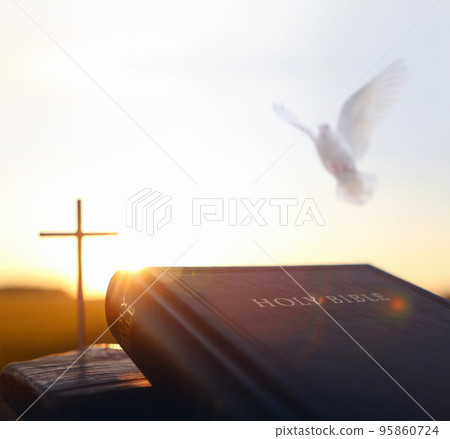 Bright sunlight and white dove and holy bible and cross silhouette of Jesus Christ 95860724