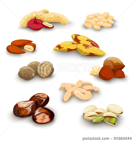 Nuts Decorative Set Nuts Decorative Set 95860844