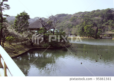Japanese Garden Pond and Shia [Sankeien] Yokohama City, Kanagawa Prefecture 95861381