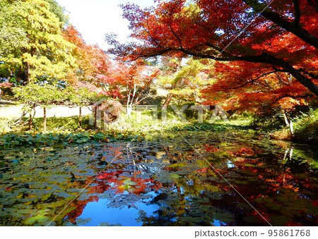 秋天的 Bunchizuri 觀音,水面上映出彩葉 秋天的 Bunchizuri 觀音,水面上映出彩葉 95861768