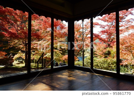 從水月庵（束折觀音）看到美麗的秋葉 95861770