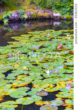Entsu-in Temple in Matsushima Enshu Garden Lotus Flower and Pond (Matsushima Town, Miyagi Prefecture) 95863010