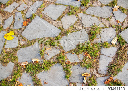 Path of stones and grass and yellow leaves Path of stones and grass and yellow leaves 95863123