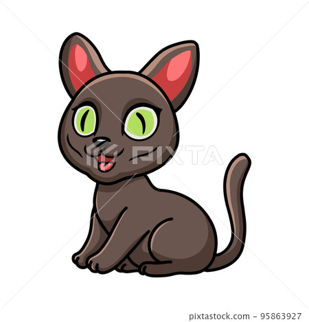 Cute korat cat cartoon sitting Cute korat cat cartoon sitting 95863927