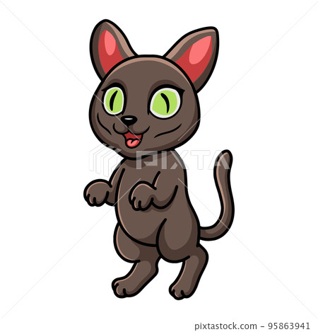 Cute korat cat cartoon standing 95863941