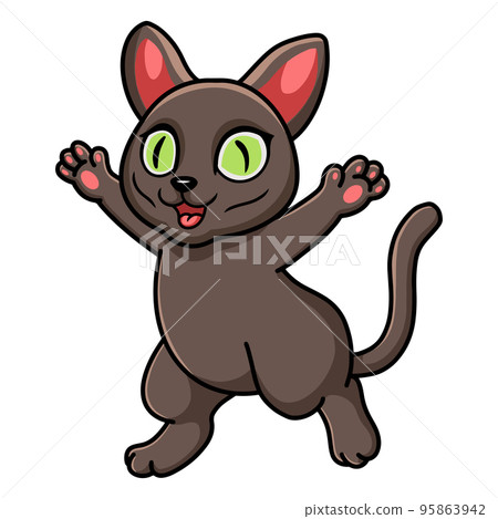 Cute korat cat cartoon raising hands Cute korat cat cartoon raising hands 95863942