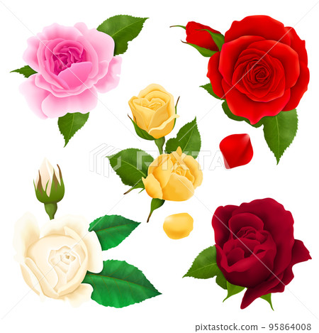 Rose Realistic Set 95864008