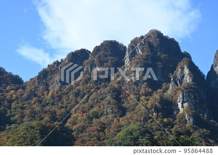白雲山秋葉 95864488