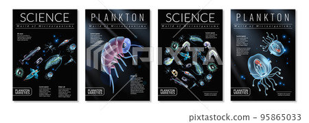 Plankton Poster Set Plankton Poster Set 95865033