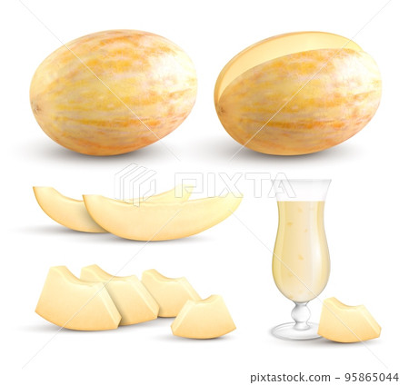 Meloen Realistic Set 95865044