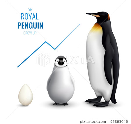 Penguin Grow Up Realistic 95865046