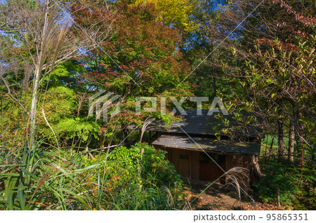 Maioka 公園水車和森林 Maioka 公園水車和森林 95865351