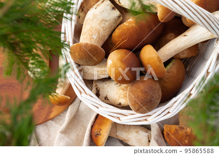 White wicker basket with boletus mushrooms. Top view 95865588