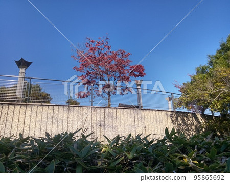 Aichi Health Plaza Obu Sports Park 95865692