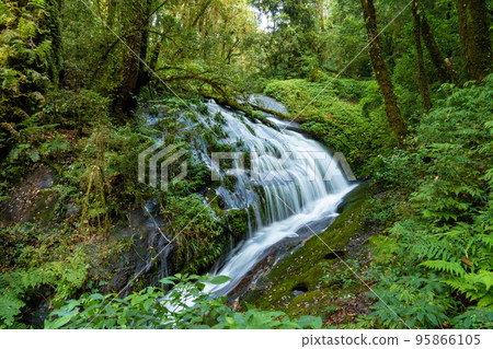 First waterfall on Kew Mae Pan Nature Trail at Doi Inthanon in Chiang Mai, Thailand First waterfall on Kew Mae Pan Nature Trail at Doi Inthanon in Chiang Mai, Thailand 95866105