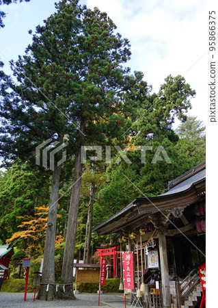 Shiwa Inari神社 Shiwa Inari神社 95866375