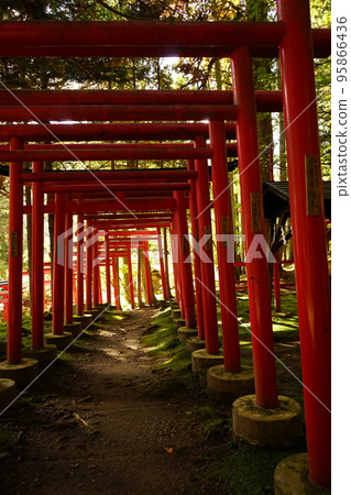 Shiwa Inari神社 Shiwa Inari神社 95866436