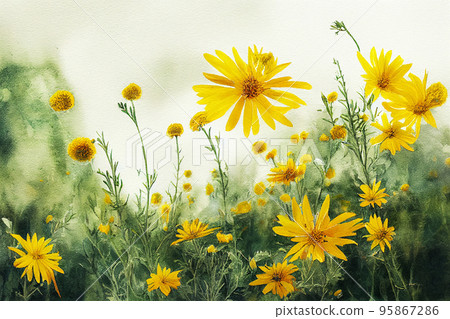 Arnica montana, also known as wolf's bane, leopard's bane, mountain tobacco and mountain arnica, is a moderately toxic European flowering plant in the daisy family Asteraceae. Arnica montana, also known as wolf's bane, leopard's bane, mountain tobacco and mountain arnica, is a moderately toxic European flowering plant in the daisy family Asteraceae. 95867286