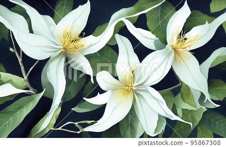 Flowers of Cananga odorata. Ylang-ylang is one of the most extensively used natural materials in the perfume industry, earning it the name "Queen of Perfumes". 95867308
